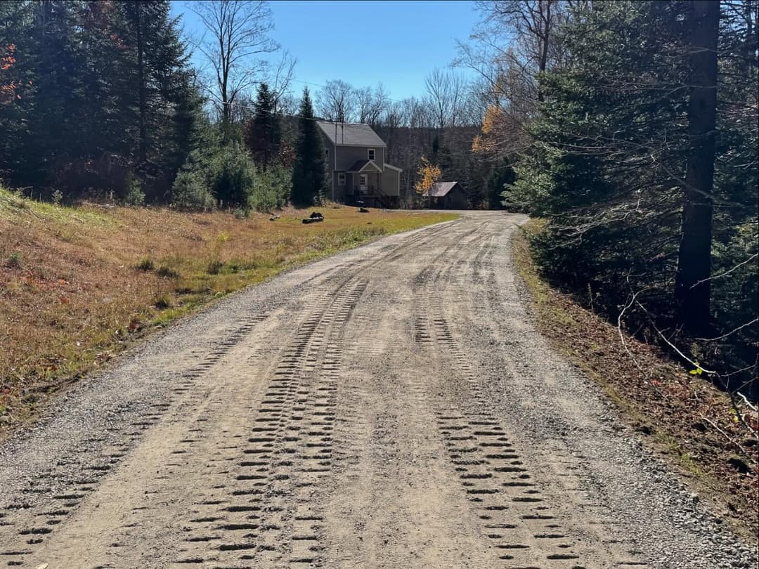 Gravel driveway leading to a house surrounded by trees on a sunny day.