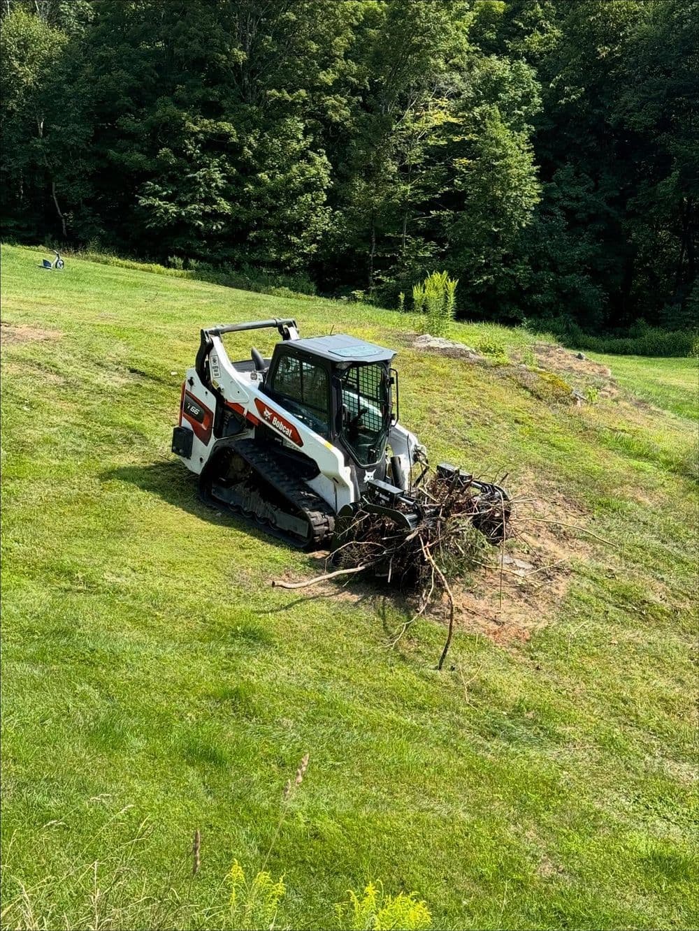 Bobcat skid steer removing tree roots from a grassy hillside in a wooded area.