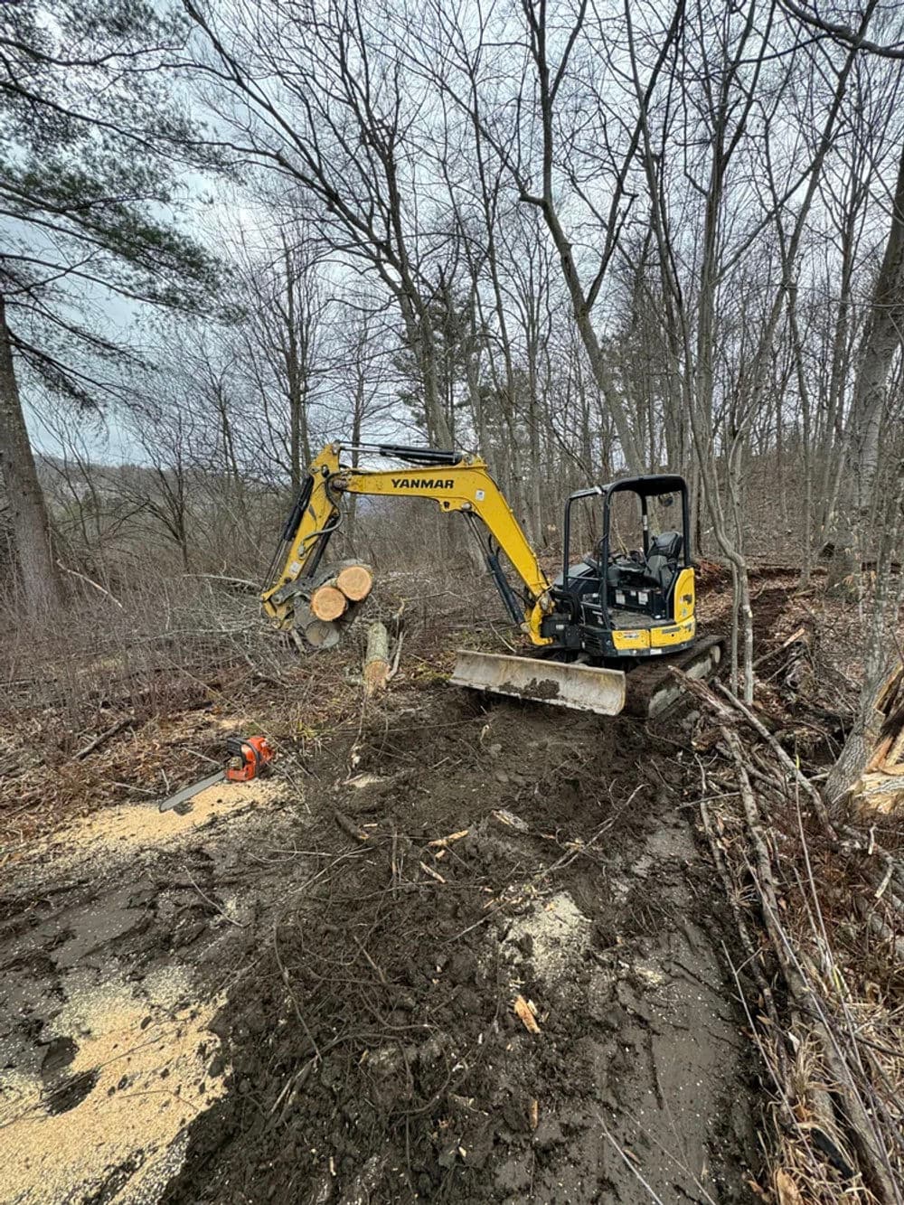 Yanmar excavator clearing trees and soil in a wooded area during landscaping project.