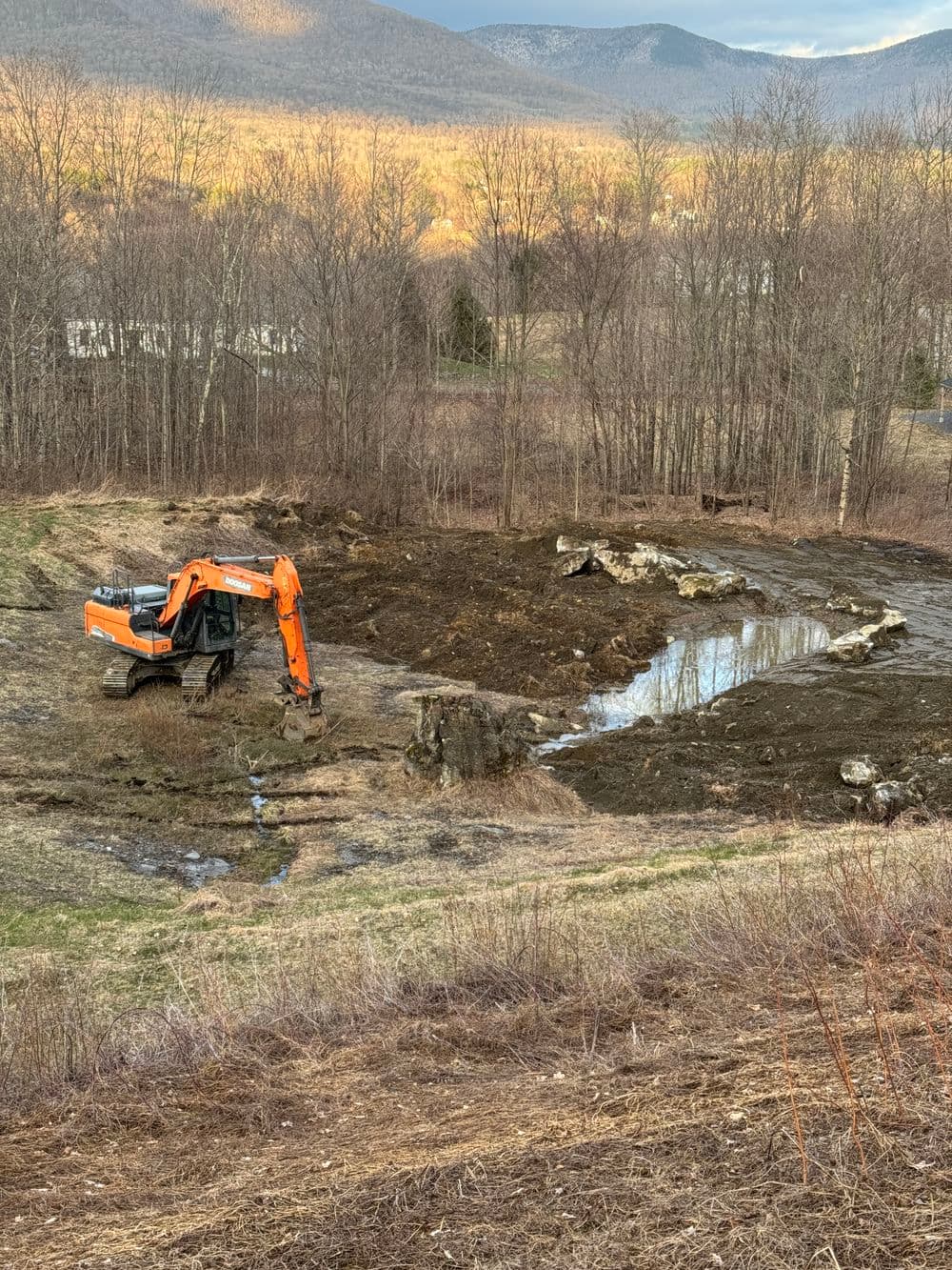 Transforming a Dry Pond into a Beautiful Meandering Stream in Dorset image