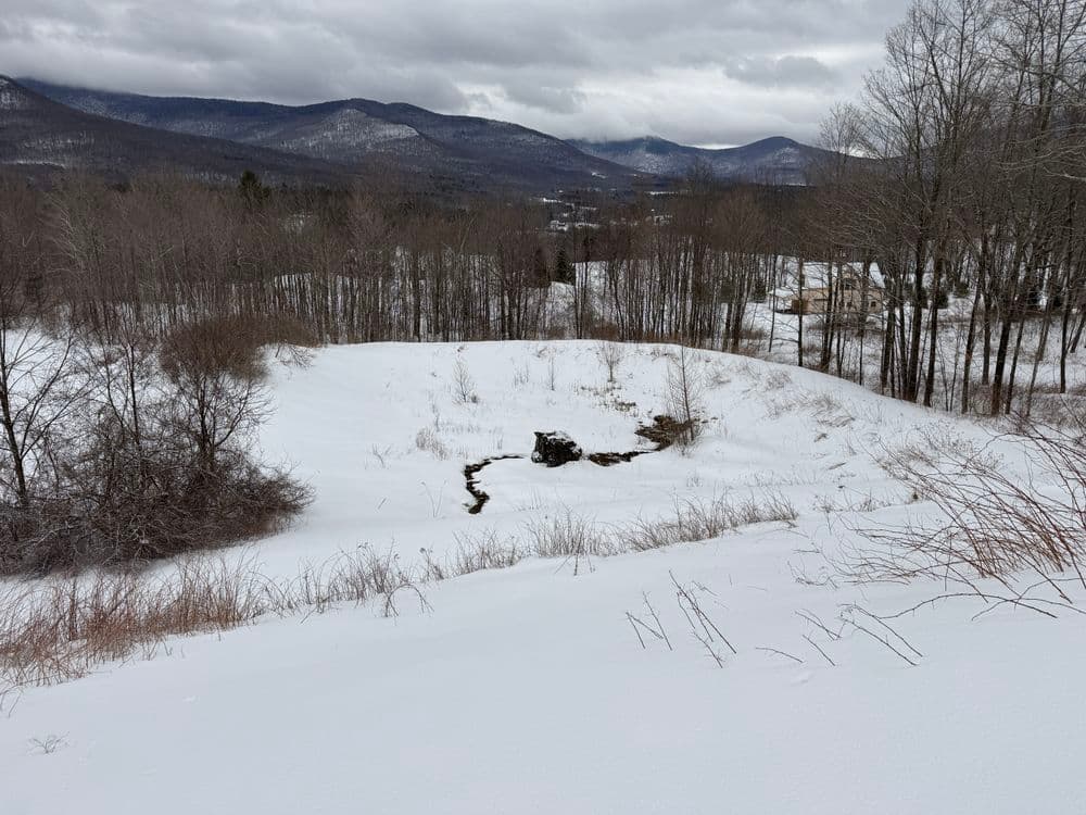 Gallery photos for Transforming a Dry Pond into a Beautiful Meandering Stream in Dorset: Image #1