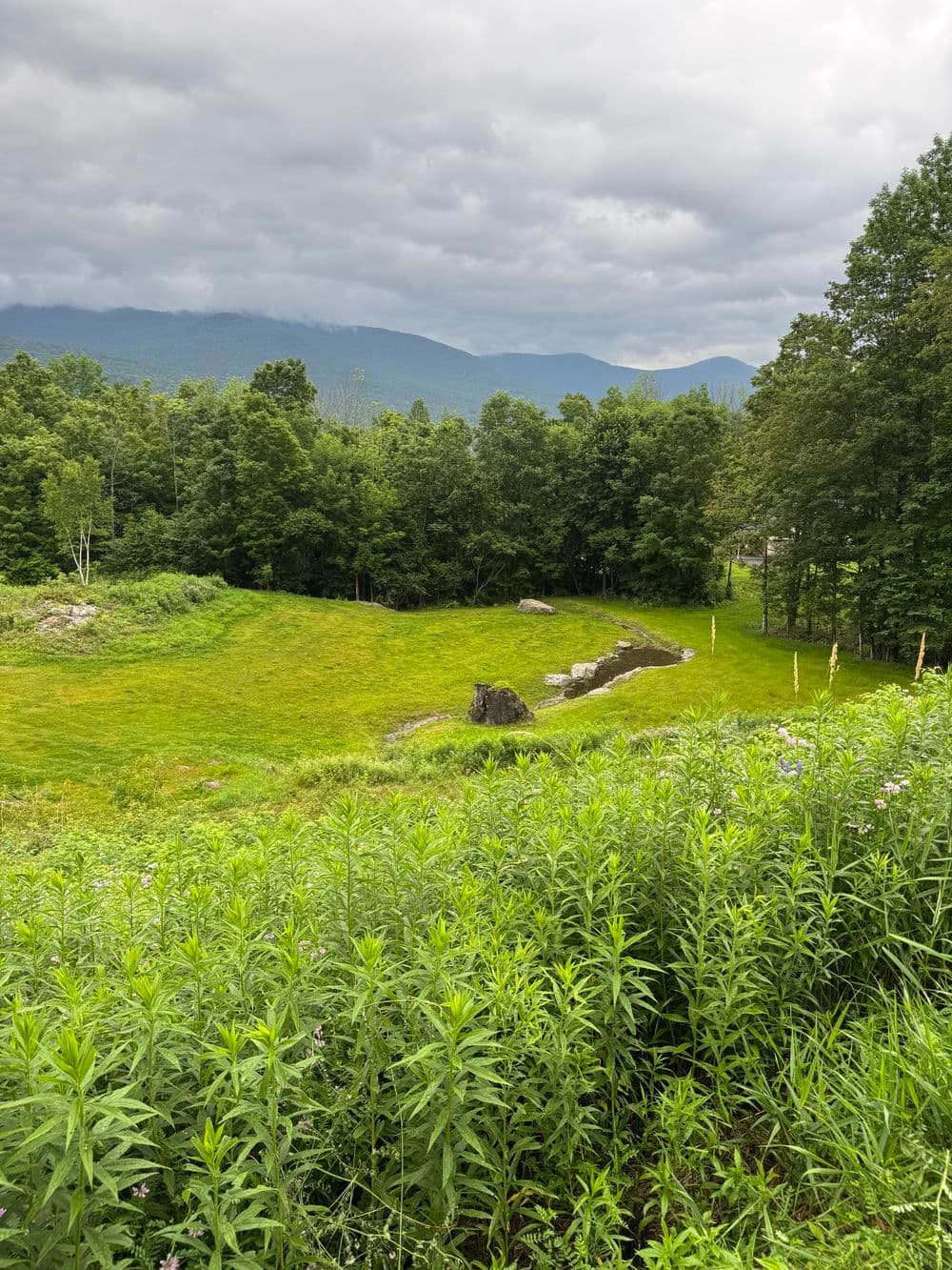 Gallery photos for Transforming a Dry Pond into a Beautiful Meandering Stream in Dorset: Image #7