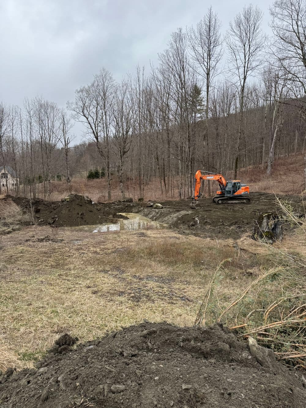 Gallery photos for Transforming a Dry Pond into a Beautiful Meandering Stream in Dorset: Image #2