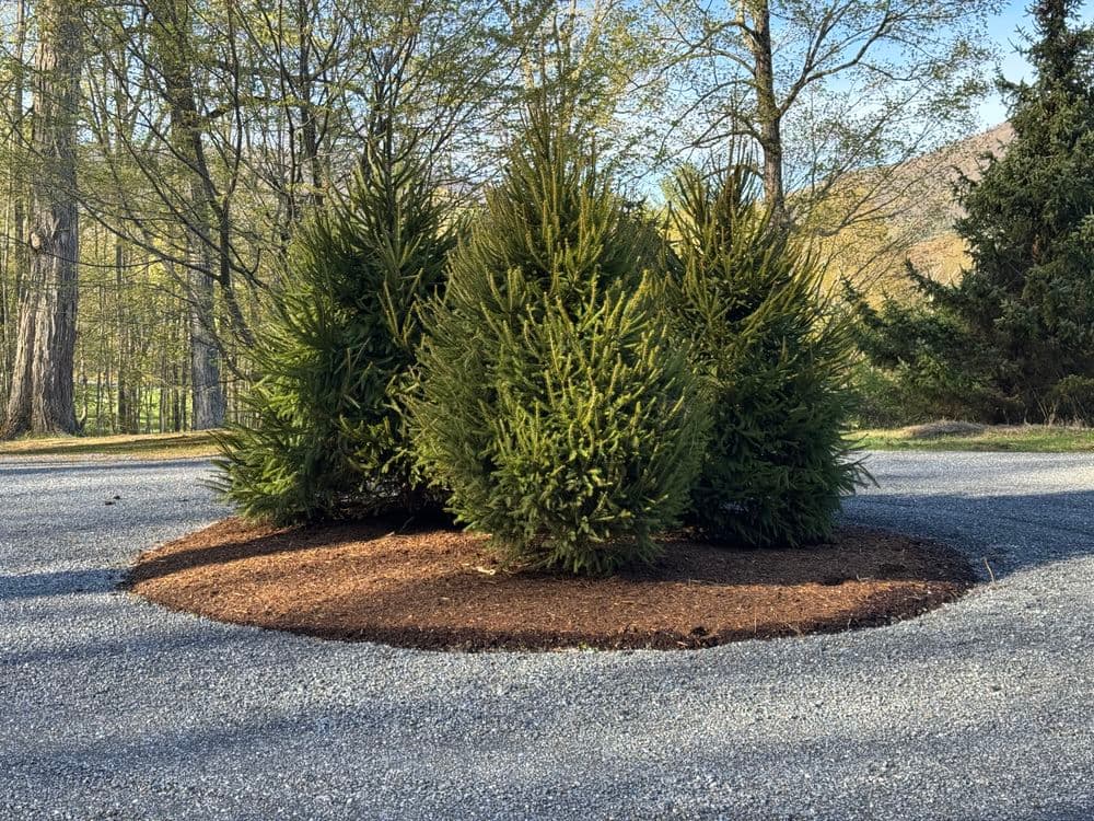 Gallery photos for Enhanced Driveway Extension and Spruce Island Installation: Image #3